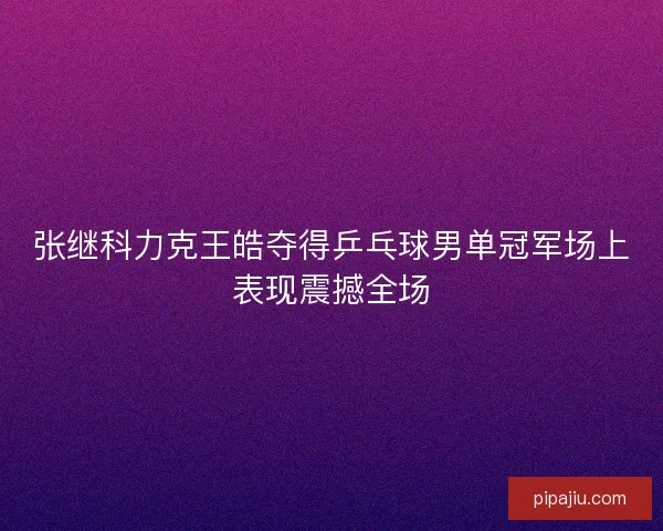 张继科力克王皓夺得乒乓球男单冠军场上表现震撼全场