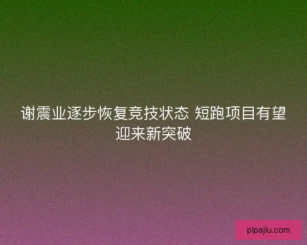 谢震业逐步恢复竞技状态 短跑项目有望迎来新突破