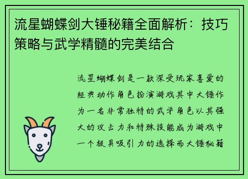 流星蝴蝶剑大锤秘籍全面解析：技巧策略与武学精髓的完美结合